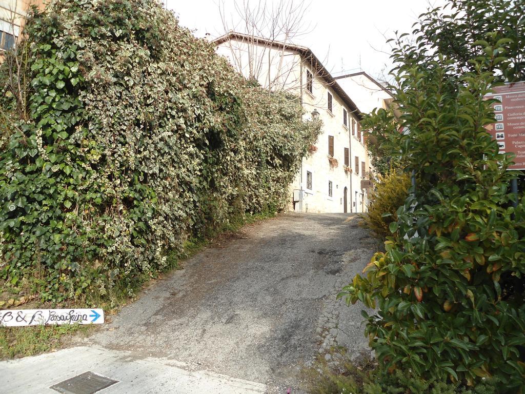罗萨斯皮纳住宿加早餐旅馆 阿斯科利皮切诺 外观 照片